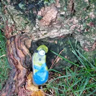 le galet regarde les petits-enfants jouer regarder dans l'arbre si besoin monter sur les épaules de vos parents