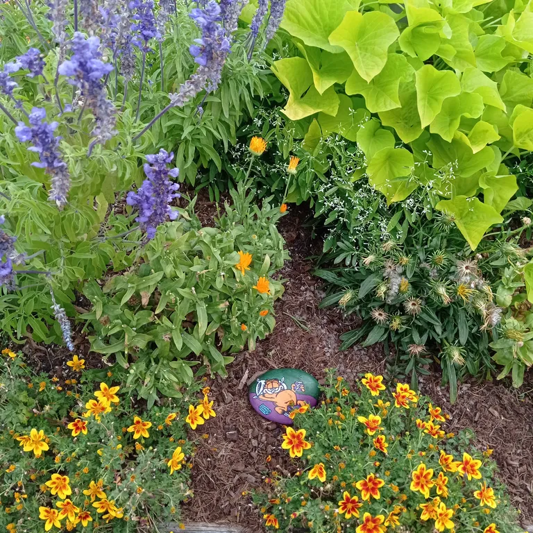Painted rock