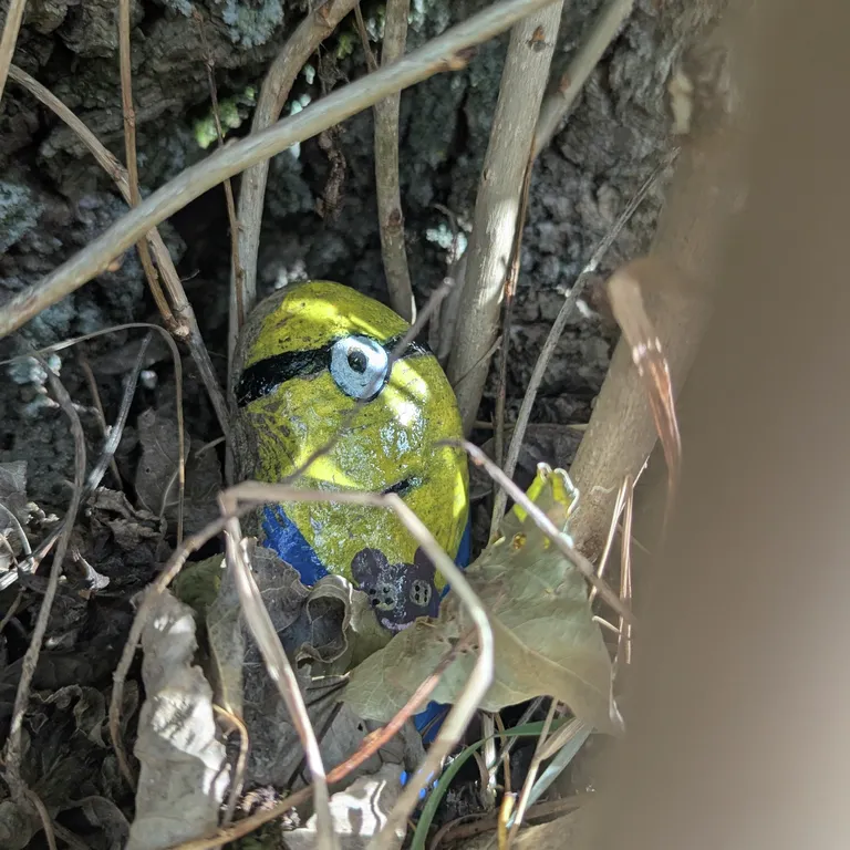 Painted rock
