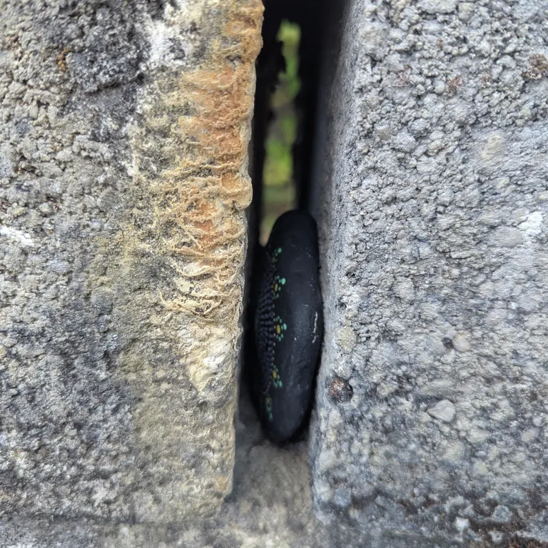 Painted rock