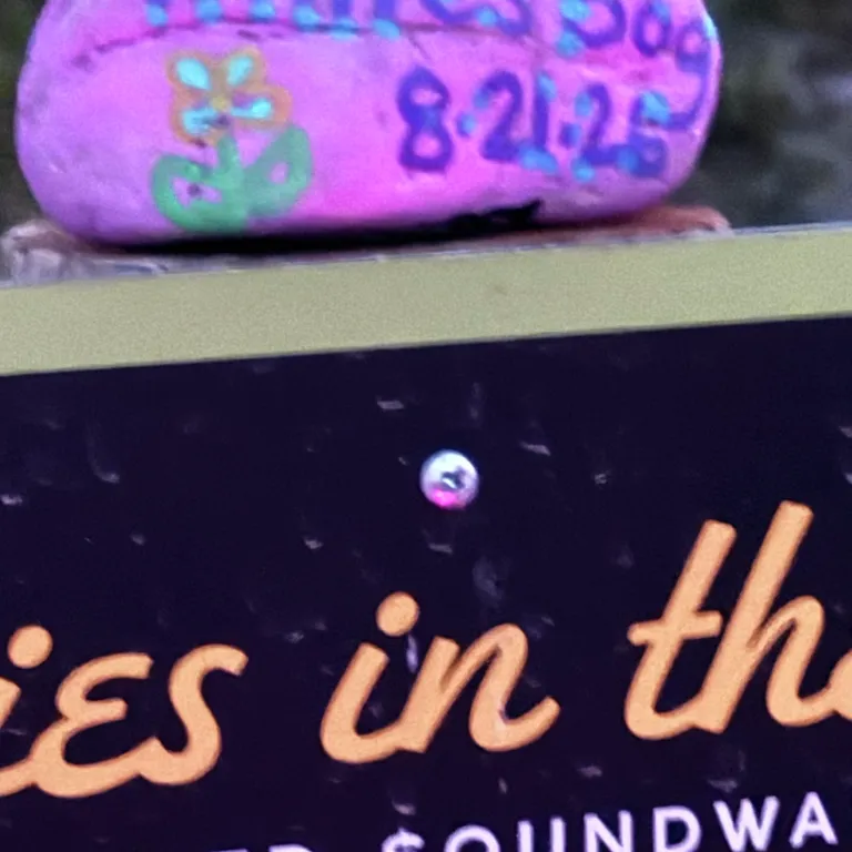 Painted rock