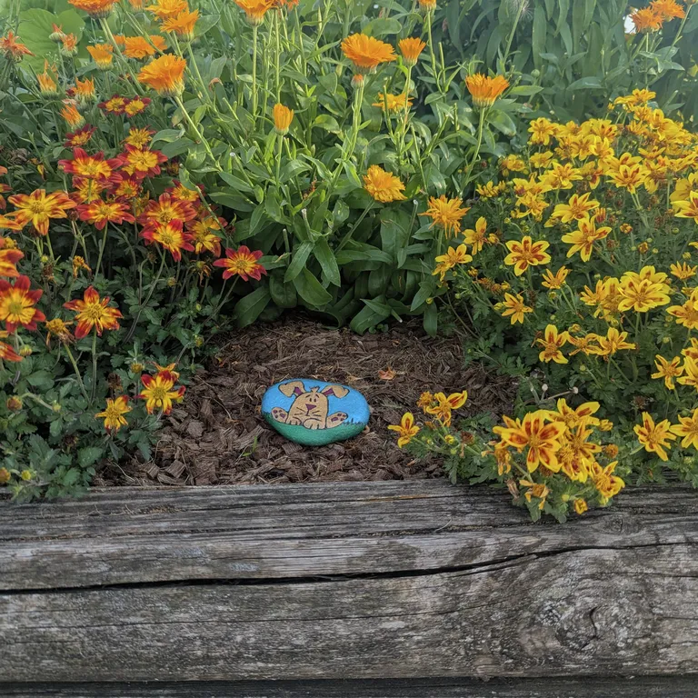 Painted rock