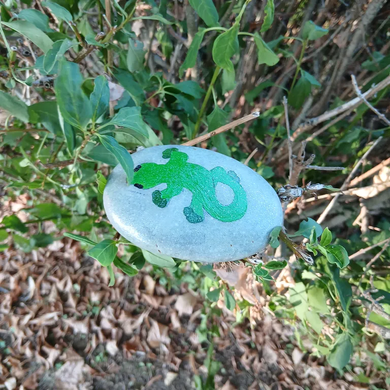 Painted rock