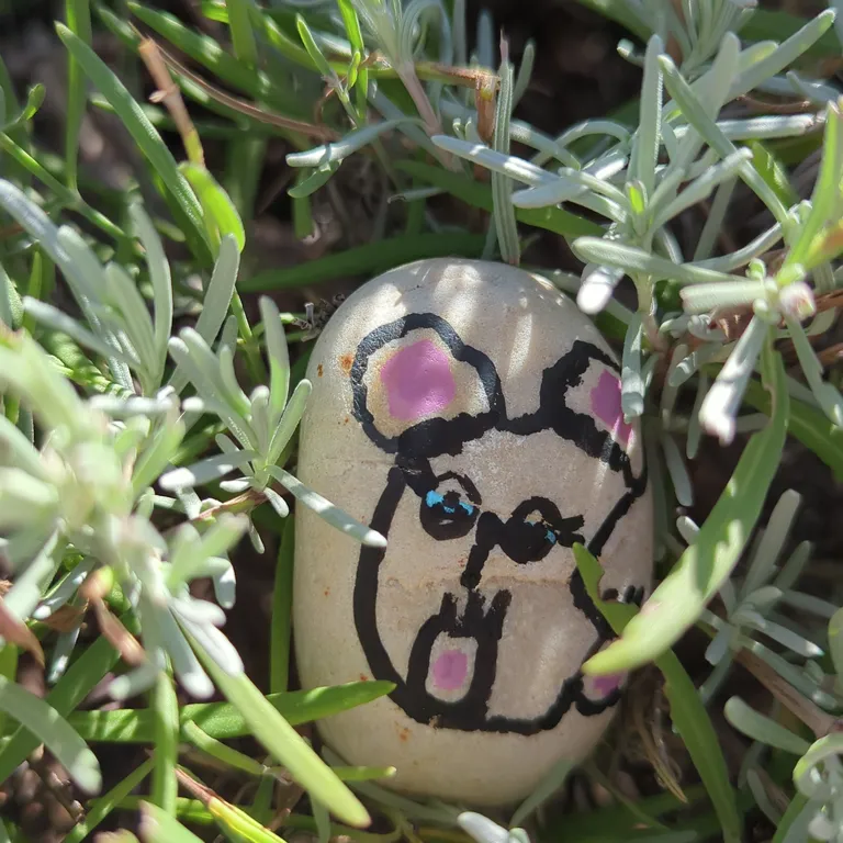 Painted rock