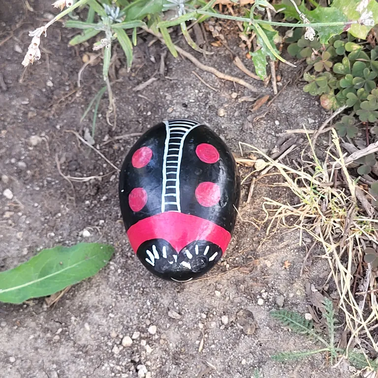 Painted rock