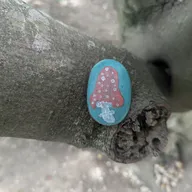 le petit champignon s'est caché dans un arbre sauras-tu le retrouver?
