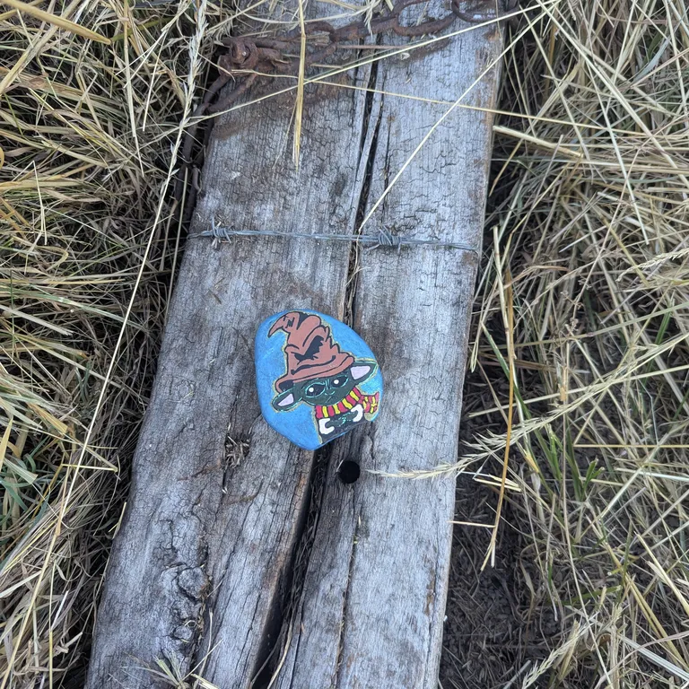 Painted rock