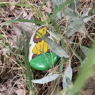 Coucou ! Je suis un tout petit lion au pelage jaune et à la crinière marron, j’arrive du zoo de Lunaret ! J’ai un petit cœur tatoué sur le poitrail. Je me repose dans l'herbe ; je suis dans un parc mais toujours dans la même ville 
Viens me trouver pour me faire un câlin et m'emmener vers de nouvelles aventures !