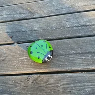 coccinelle attends sur un banc