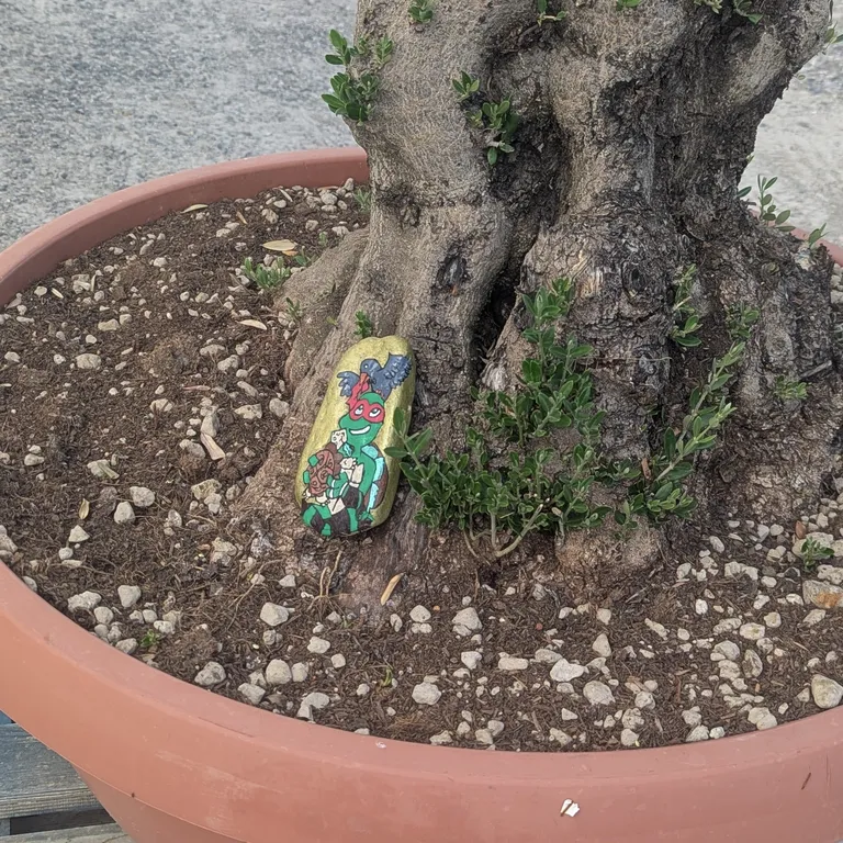 Painted rock