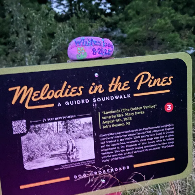 Painted rock