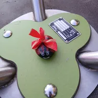 la coccinelle attends son tour