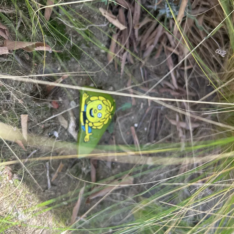 Painted rock