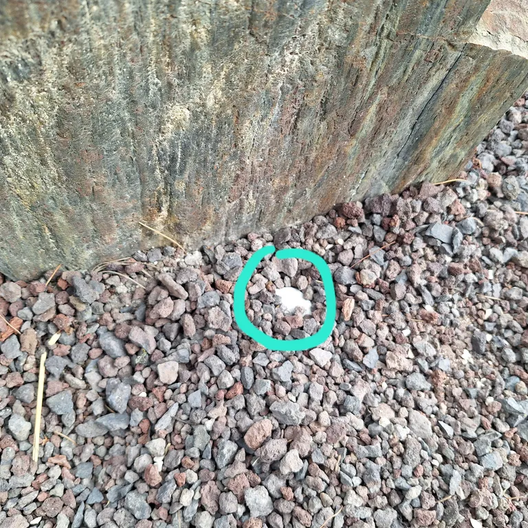 Painted rock