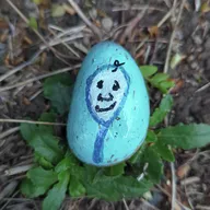 regardez bien sous la haie, le petit galet et juste derrière le potager