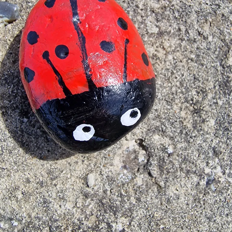 Painted rock