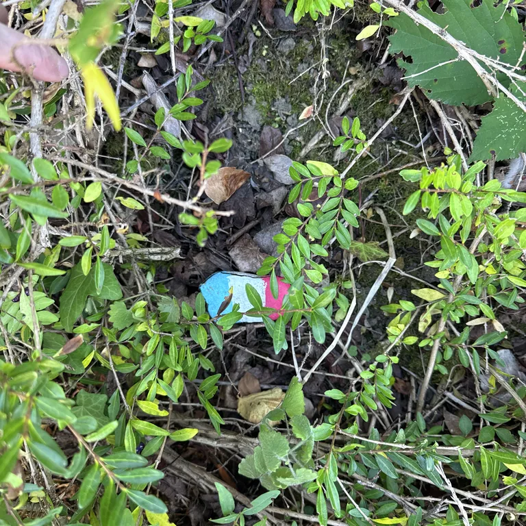 Painted rock
