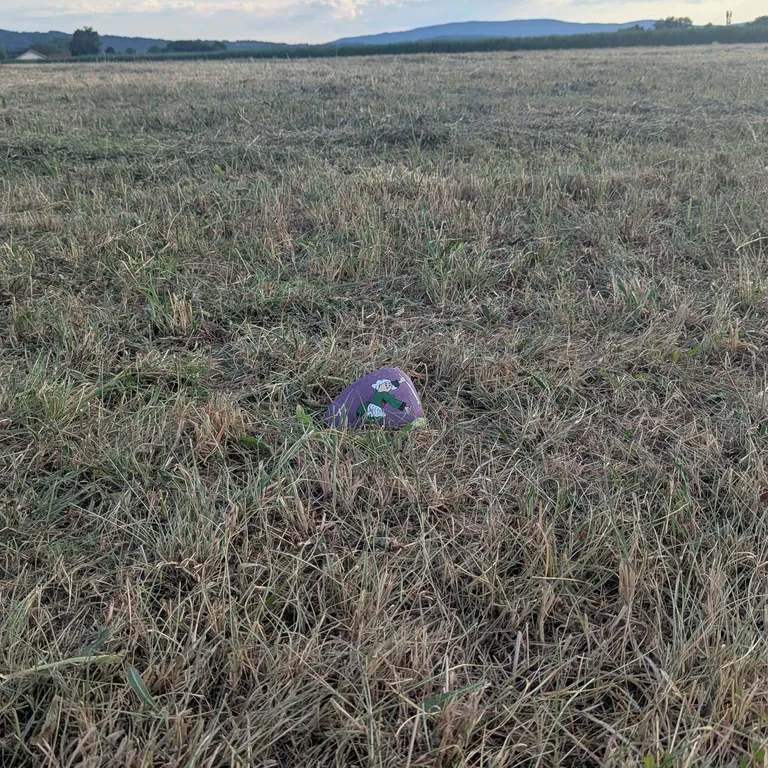 Painted rock